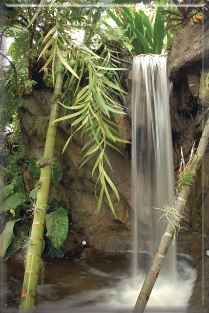 A Waterfall